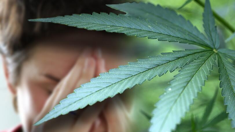 THC hilft erwiesenermaßen bei bestimmten Krankheiten bei der Schmerzlinderung. In der Apotheke ist der Wirkstoff jedoch für viele zu teuer. Sollen Patienten in Zukunft zuhause Cannabis zu Therapiezwecken anbauen dürfen? THC hilft erwiesenermaßen bei bestimmten Krankheiten bei der Schmerzlinderung. In der Apotheke ist der Wirkstoff jedoch für viele zu teuer. Sollen Patienten in Zukunft zuhause Cannabis zu Therapiezwecken anbauen dürfen?