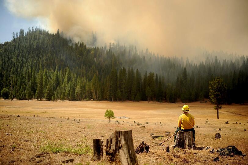 Die Waldbrände in der kalifornischen Sierra Nevada haben den Yosemite-Nationalpark erreicht. Die Bilder der Feuersbrunst!