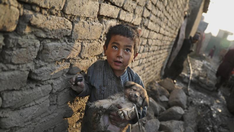 Ein kleiner Junge mit einem Welpen in einem Lager für Binnenvertriebene in Kabul. Ein kleiner Junge mit einem Welpen in einem Lager für Binnenvertriebene in Kabul.