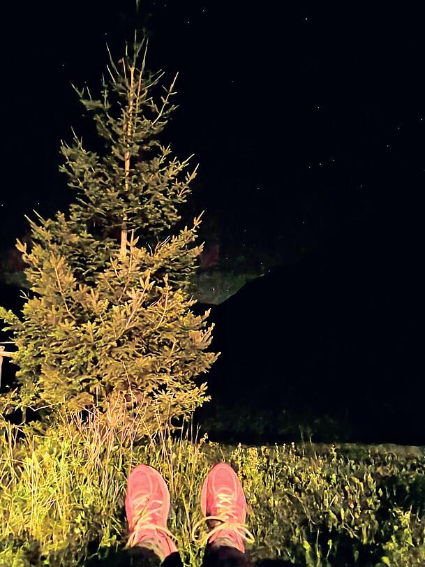 Einfach mal gegen Mitternacht die Sonnen- zur Sternenliege umfunktionieren und statt "Sommerhaus der Stars" mal die Milchstra&szlig;e anschauen.
