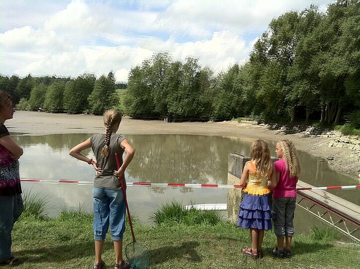 Die Feuerwehr pumpt das Wasser aus dem Badesse, um die Rießenschildkröte leichter finden zu können.