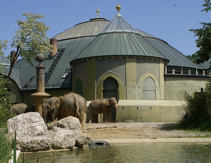 Freude rund ums Elefantenhaus: Hellabrunn klettert im Zoo-Ranking.