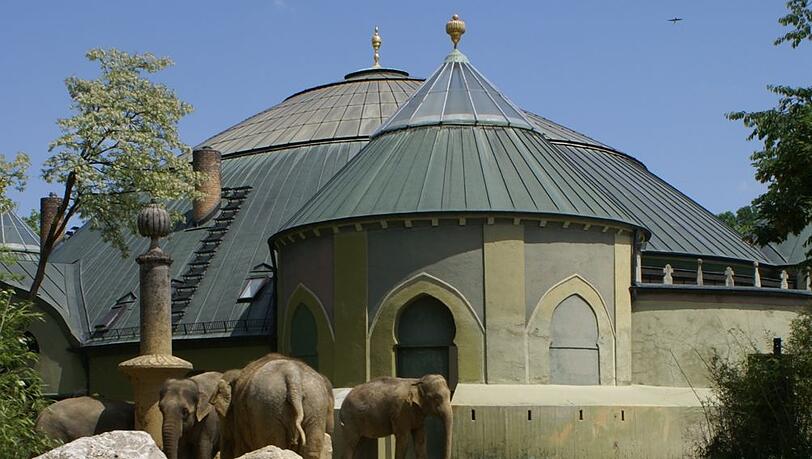 Freude rund ums Elefantenhaus: Hellabrunn klettert im Zoo-Ranking. Freude rund ums Elefantenhaus: Hellabrunn klettert im Zoo-Ranking.