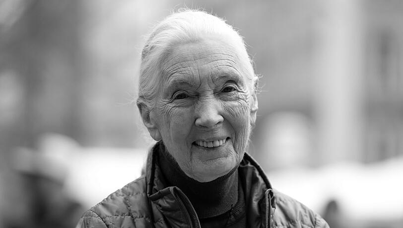 Die britische Schimpansen-Forscherin und Umwelt-Aktivistin Jane Goodall ist tot.