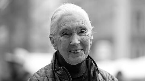 Die britische Schimpansen-Forscherin und Umwelt-Aktivistin Jane Goodall ist tot.