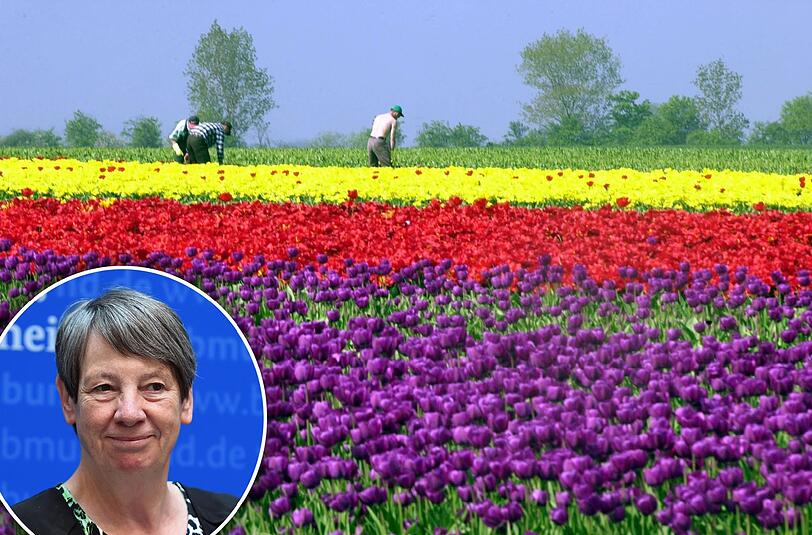 Und genau die nutzt Barbara Hendricks wie in den vergangenen Sommern am liebsten auf dem Fahrrad. "Eine Radtour ist für mich die ideale Gelegenheit, zu entspannen, Sport zu treiben und Deutschland und seine Nachbarländer zu erkunden", sagt die Umweltministerin (SPD).