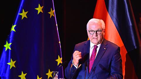 Bundespr&auml;sident Frank-Walter Steinmeier spricht beim Festakt zum Tag der Deutschen Einheit