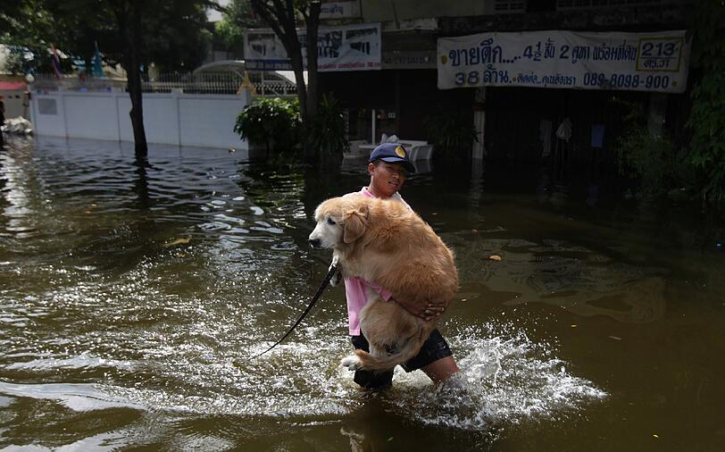 Ein junger Mann rettet seinen Hund.