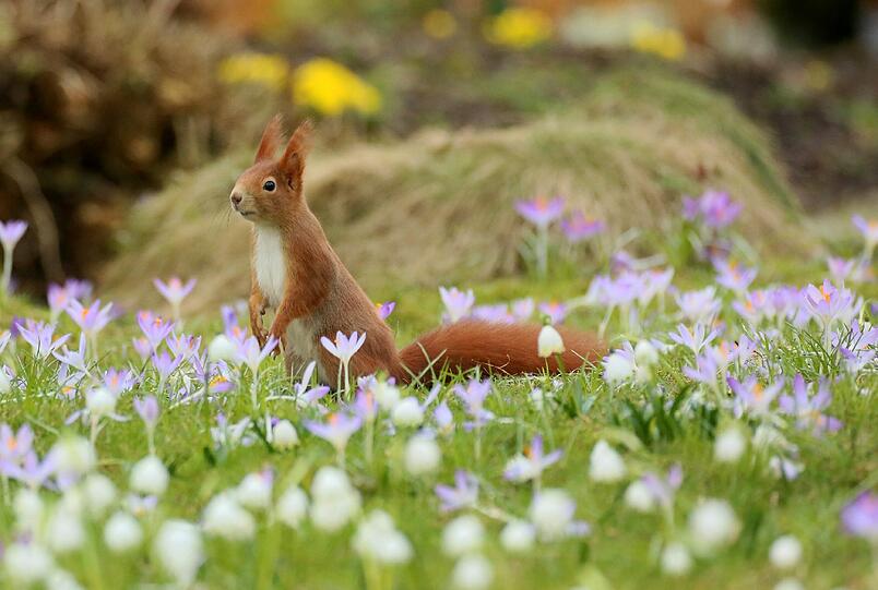 Sommer in der Stadt: München genießt den Frühling am Wochenende.