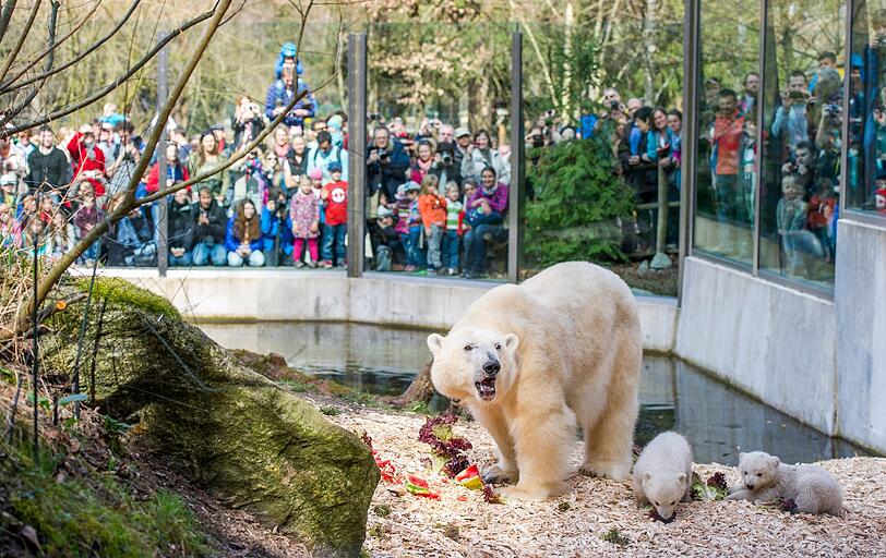 Allein am Samstag kamen 10500 Besucher in den Tierpark, um sie zu sehen.