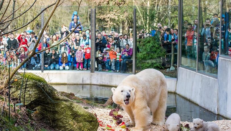 Allein am Samstag kamen 10500 Besucher in den Tierpark, um sie zu sehen. Allein am Samstag kamen 10500 Besucher in den Tierpark, um sie zu sehen.