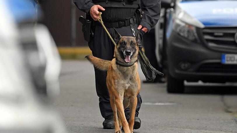 Die Polizei rückte aufgrund einer Vermisstensuche in Laim unter anderem mit Spürhunden an. (Symbolbild)