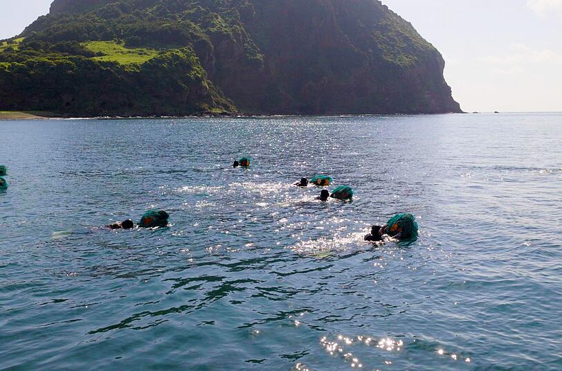 Die Arbeit der Haenyeo - der Taucherinnen auf der koreanischen Jeju-Insel - ist gefährlich. Was sie trägt, ist ihre starke Gemeinschaft. Die Arbeit der Haenyeo - der Taucherinnen auf der koreanischen Jeju-Insel - ist gefährlich. Was sie trägt, ist ihre starke Gemeinschaft.