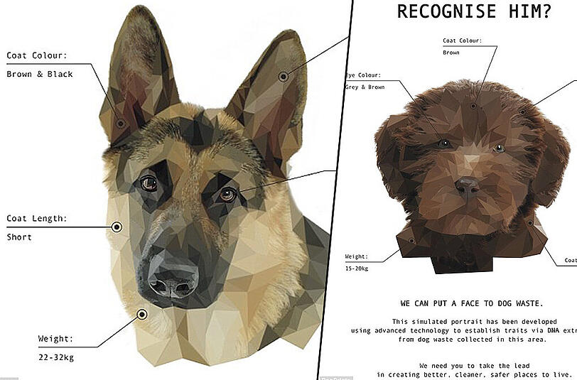 Mit solchen Steckbriefen will der Bezirk Barking and Dagenham Hundebesitzern Druck machen.