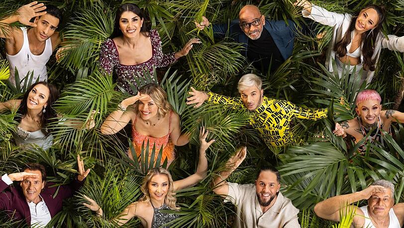 Diese zw&ouml;lf Promis stellen sich in diesem Jahr den Dschungelpr&uuml;fungen.