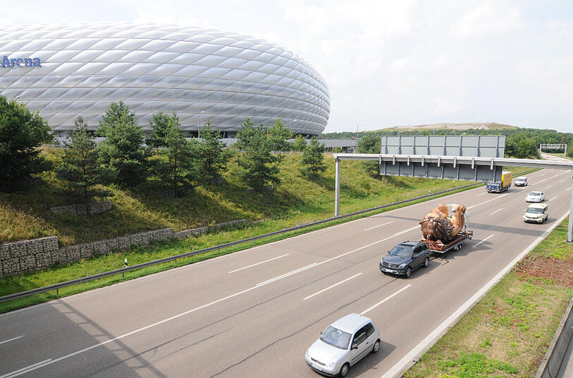 An der Fröttmaninger Arena: Hier wird der neue Löwe antransportiert.