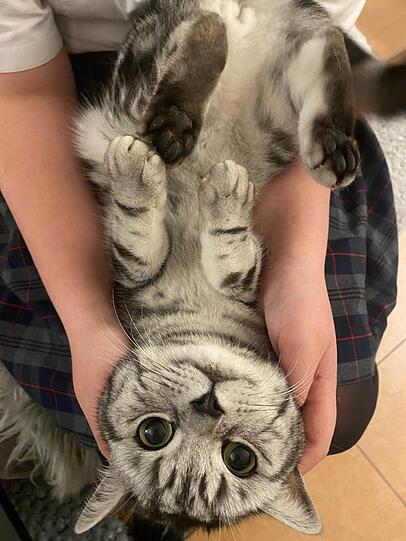 Baby Blue