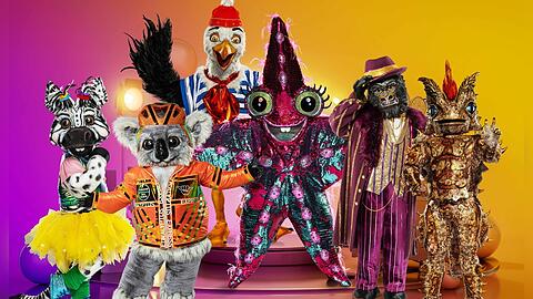 "The Masked Singer" geht im kommenden Jahr auf Deutschland-Tour.