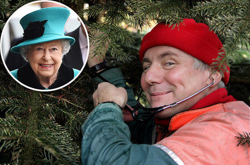 Ist das der Christbaum für die Queen? Wolfgang Weiß, Stadtrat und Leiter eines staatlichen Forstreviers, überprüft mit einem Stethoskop den Gesundheitszustand der Tanne.
