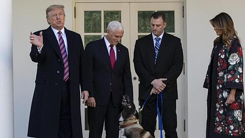 Donald Trump bei der Ehrung für Conan.