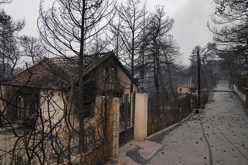 Drosopigi: Vom Feuer zerstörte Bäume und ein Haus sind nach den Waldbränden an einer Straße zu sehen.