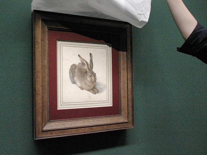 Der "Feldhase" (1502) von Albrecht Dürer in der Albertina.