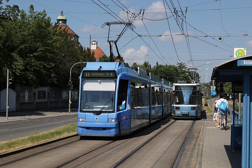 Die 17er-Tram bringt einen zum Botanischen Garten. Der Stadtspaziergänger empfiehlt: Öfter auch mal so einsteigen und rumfahren.