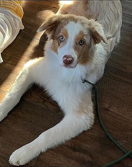 Luke