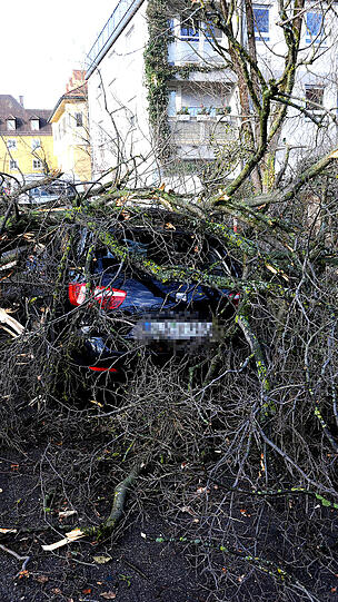 Bilder vom Feuerwehreinsatz am Agnes-Bernauer-Platz in Laim. Dort stürzte am Donnerstagmorgen ein Baum auf fünf geparkte Autos, zwei davon wurden vollkommen zerstört.