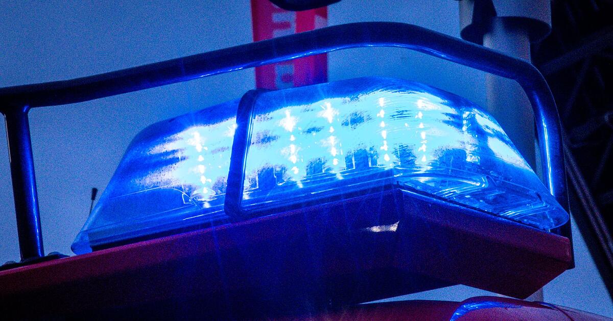 Feuer-in-Holzlager-400-000-Euro-Schaden