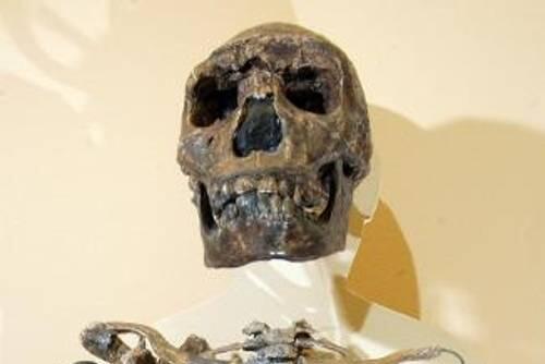 Eine 47-Jährige hat die mumifizierte Leiche eines Mannes im Keller eines Hauses gefunden.