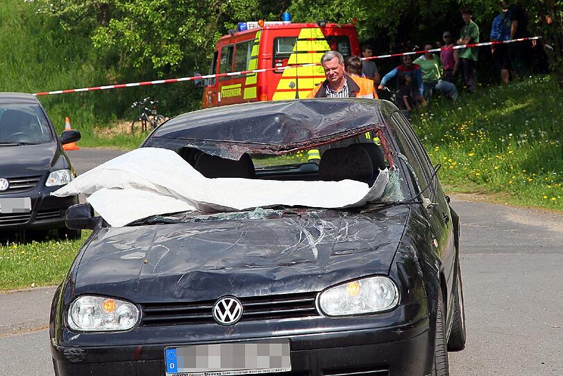 Spektakulärer Unfall mit einer Kutsche und Pferden: Eines der Tiere prallte in die Windschutzscheibe dieses Autos. Die Bilder