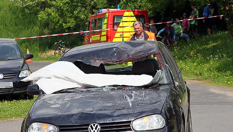 Spektakulärer Unfall mit einer Kutsche und Pferden: Eines der Tiere prallte in die Windschutzscheibe dieses Autos. Die Bilder Spektakulärer Unfall mit einer Kutsche und Pferden: Eines der Tiere prallte in die Windschutzscheibe dieses Autos. Die Bilder