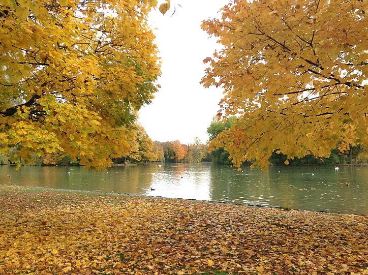 Der Englische Garten in den Morgenstunden.
