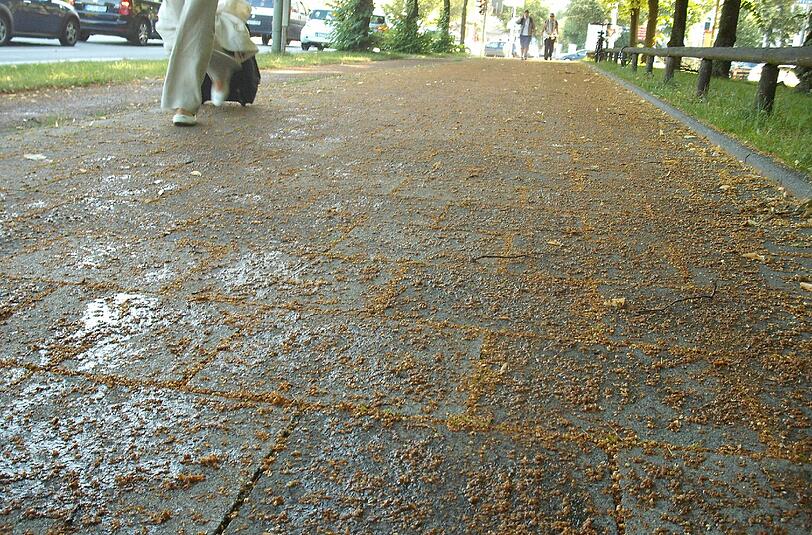 Der Weg an der Garmischer Straße wird zur Rutschpartie.