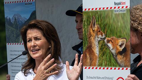 Der Wolf soll nach dem Willen von CSU und Freien Wählern künftig leichter getötet werden.