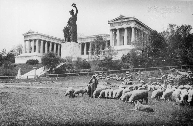 1905 auf der Theresienwiese unterhalb der Bavaria: Hier macht die Wiese mitten in der Stadt ihrem Namen noch alle Ehre, weshalb auch der Schäfer hier seine Herde noch ausgiebig weiden lassen kann. Angesichts der geteerten Straßen und ganzjähriger Dauernutzung durch Veranstaltungen ist die Wiesn ja heute längst &ndash; um Sigi Sommer zu bemühen &ndash; zur "Asphaltn" verkommen.