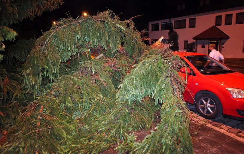 Ein umgestürzter Baum liegt in der Nacht auf Sonntag in Nürnberg auf einem geparkten Auto.