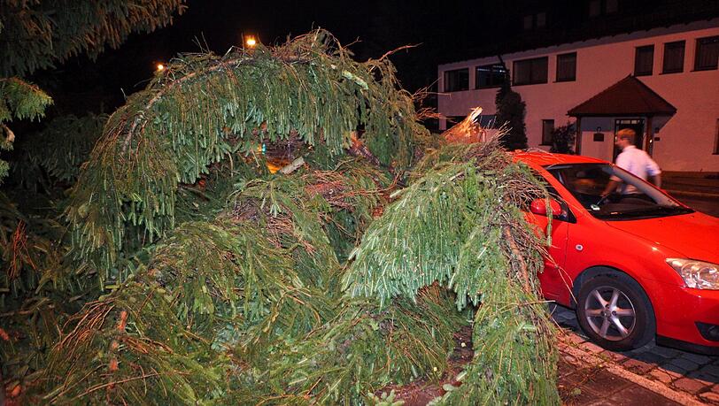 Ein umgestürzter Baum liegt in der Nacht auf Sonntag in Nürnberg auf einem geparkten Auto.