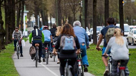 Fahrradfahrer fahren auf einem Radweg. Foto: Lino Mirgeler/Archiv