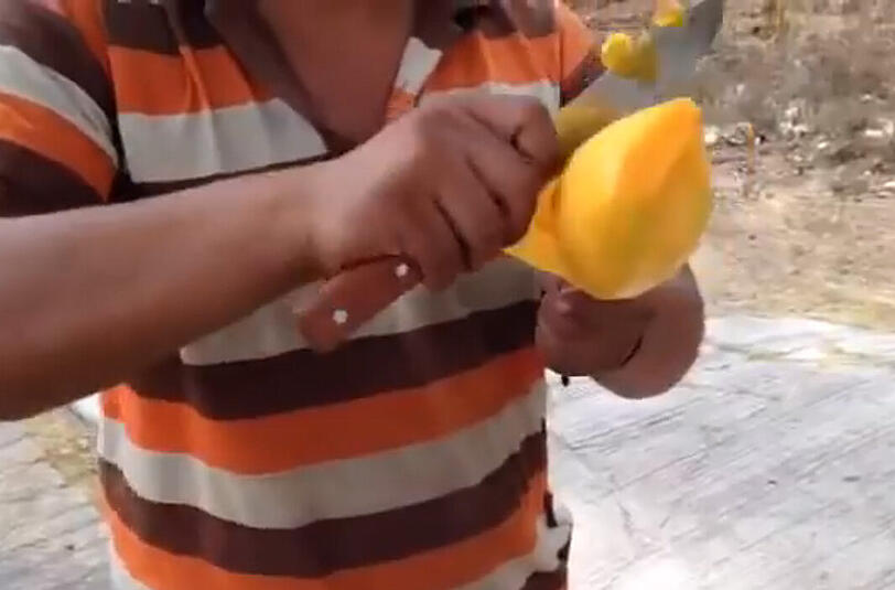 Mit Holzstab: So schneidet man eine Mango richtig auf.