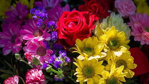 Blumen sind ein beliebtes Geschenk - auch zum Muttertag.