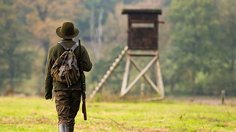 Bayerns J&auml;ger haben nach Ansicht von Jagdminister Aiwanger einen wichtigen Beitrag &nbsp;zum Schutz bedrohter Arten wie Bodenbr&uuml;tern geleistet.
