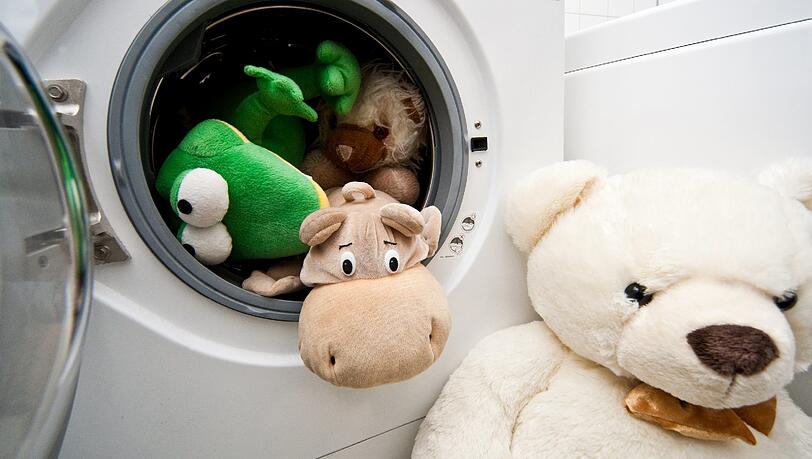 Kuscheltiere werden häufig in den Arm genommen und nehmen so Hautschuppen auf - Teddys sollten daher regelmäßig in die Waschmaschine! Kuscheltiere werden häufig in den Arm genommen und nehmen so Hautschuppen auf - Teddys sollten daher regelmäßig in die Waschmaschine!