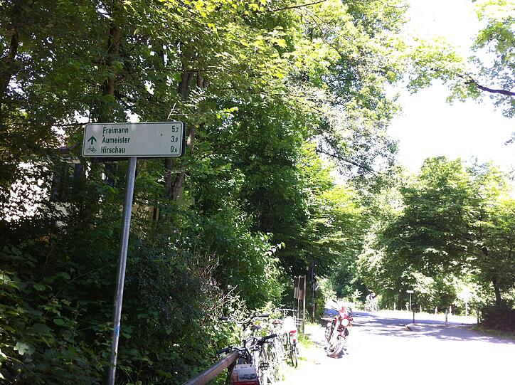 Schön grün ist es nicht weit davon im Englischen Garten.