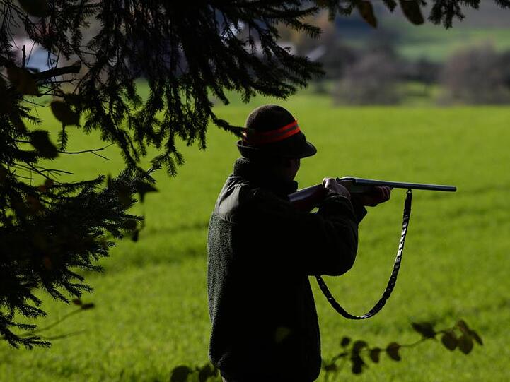 Ein Jäger steht während einer Treibjagd mit seinem Gewehr schussbereit am Waldrand. Foto: Felix Kästle/dpa/Archivbild