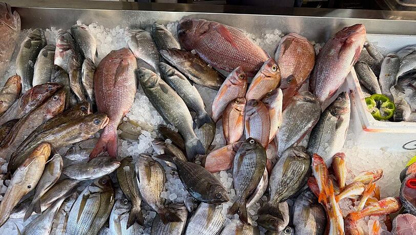 Frischen Fisch erkennt man unter anderen an den klaren, glänzenden Augen. Frischen Fisch erkennt man unter anderen an den klaren, glänzenden Augen.