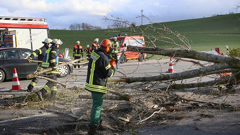 Umgestürzte Bäume  auf der B12 am Fuße des Friesenhamer Berges behindern den Straßenverkehr.