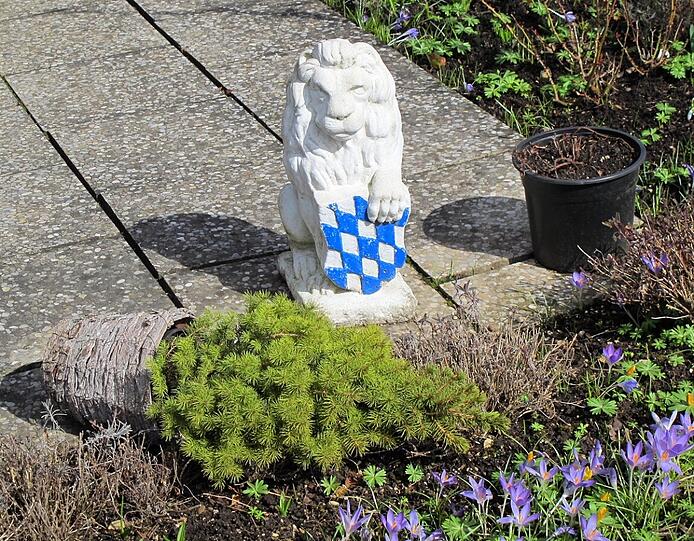 AZ-Leser Djordje Matkovic hat in der Gartenlaube in Moosach die Frühlingsboten fotografiert. Die Bilder.