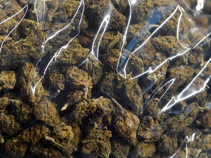 Marihuana. Foto: Hendrik Schmidt/Archiv